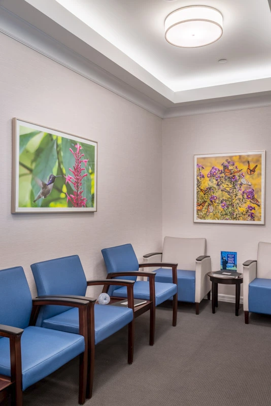 Luxurious plastic surgery office seating area with elegant décor, curated artwork, and a tranquil, welcoming ambiance.